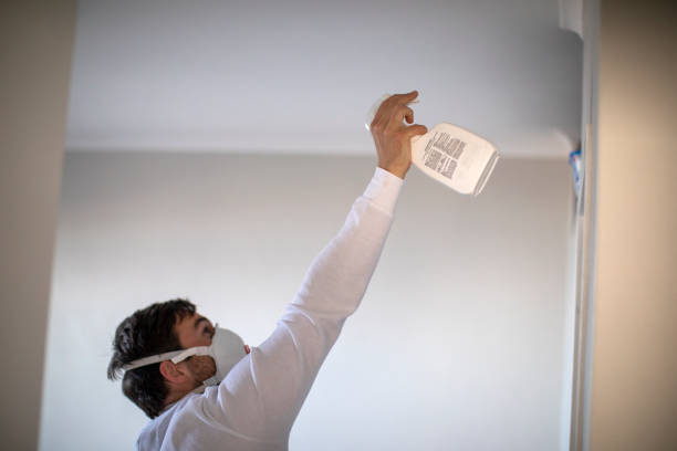 Best Attic Mold Remediation in Milford, OH