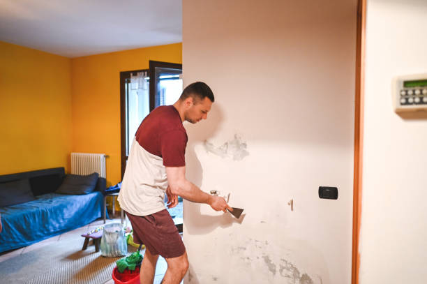 Best DIY Mold Remediation Support Services in Milford, OH