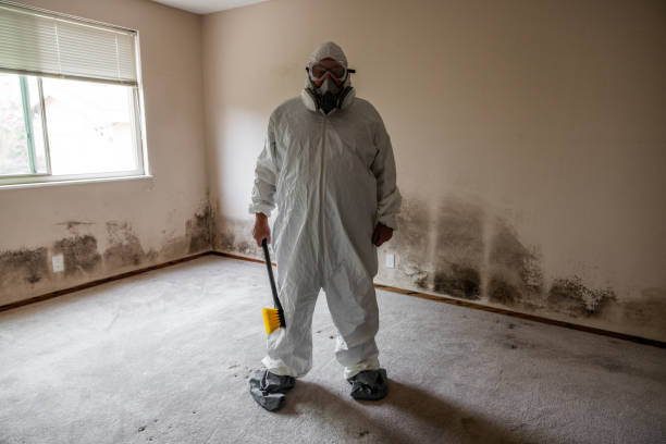 Professional Mold Remediation in Milford, OH